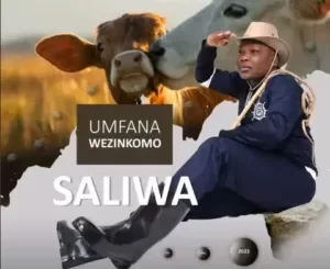 Saliwa – Nangibukelela EMpangeni