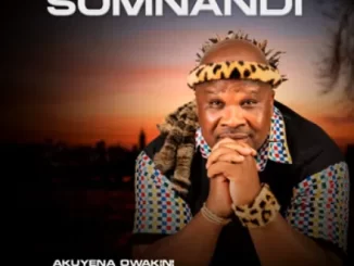 Somnandi – Ngawa Ngashelelela