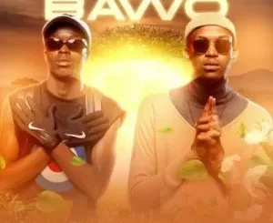 Ntando Yamahlubi, SkavaNator – Bawo