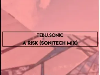 Tebu.Sonic – A Risk (Sonitech Mix)