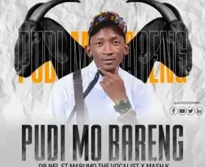 Dr Nel - Pudi Mo Bareng ft Marumo The Vocalist & Mash K