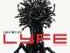 Lyfe Jennings – Tree of Lyfe