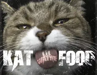 Lil Wayne - Kat Food