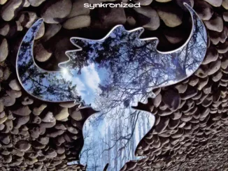 Jamiroquai – Synkronized