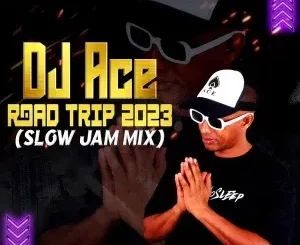 DJ Ace - Road Trip 2023 (Slow Jam Mix)