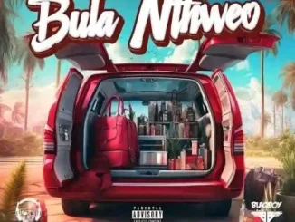 Vetkuk vs Mahoota & DJ Maphorisa - Bula Nthweo ft Jelly Babie, XDuppy, Uncool MC & Ricky Lenyora