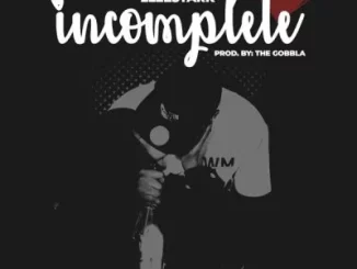 2Lee Stark – Incomplete