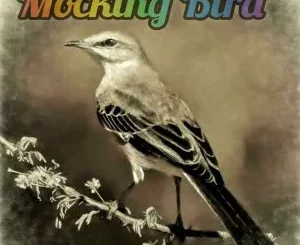 Luxury SA - Mocking Bird