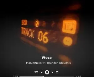 MalumNator & Brandon Dhludhlu - Woza