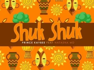 Prince Kaybee - Shuk Shuk ft. Natasha MD