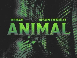 R3HAB & Jason Derulo - Animal