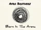 Afro Brotherz – Born In the Arena