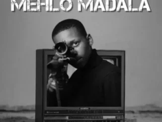 Nation-365 & Busta 929 – Mehlo Madala ft Mntomnandi, Blaqboy Muziq & ChillyboyRSA