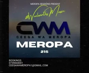 Ceega – Meropa 215 (Connection Between Us & The Music)