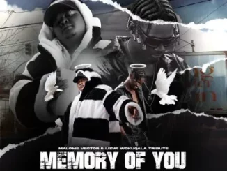 Malome Vector & Lizwi Wokuqala – Memory Of You ft Aubrey Qwana, Trymore, Maraza, SANNERE & Mally